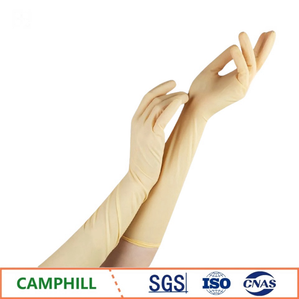 Disposable Latex Gloves 20 Inc - Medical Gloves 评论和价格