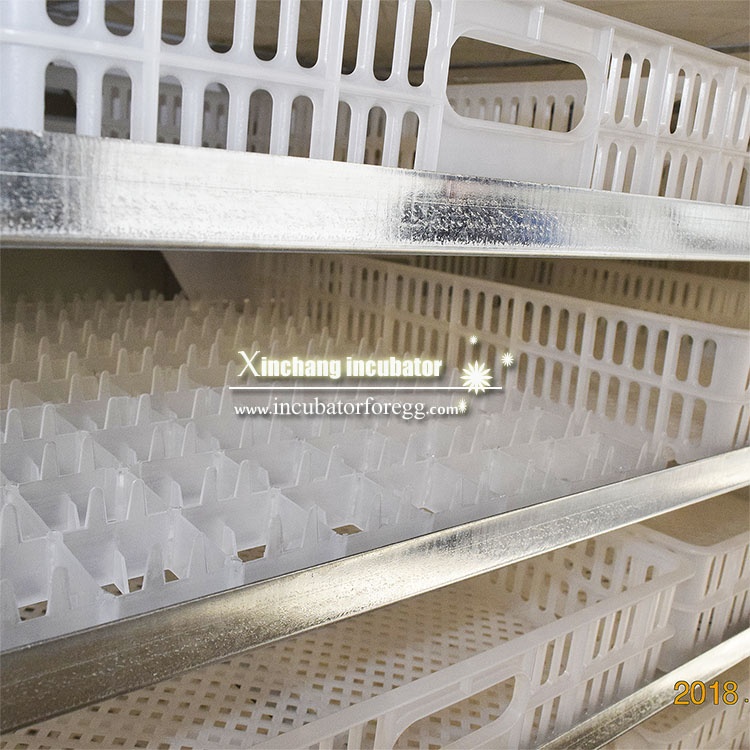 5000 Eggs   Machines for Small - Lab Incubator 评论和价格